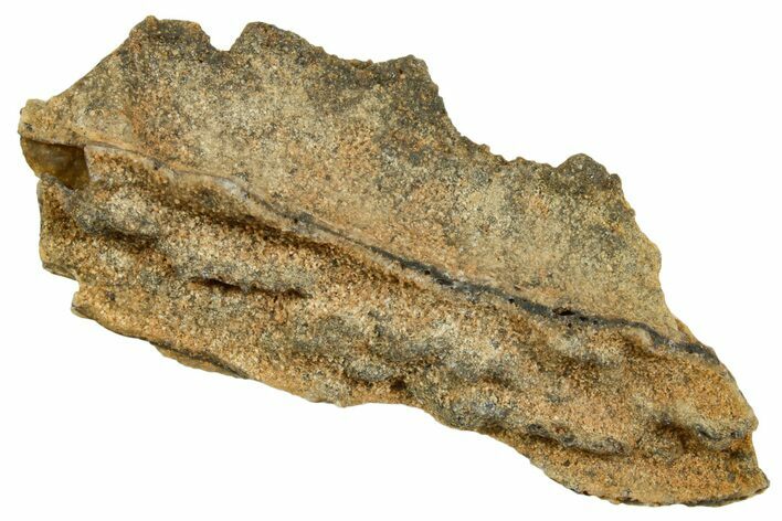 Fulgurite - Petrified Lightning #366366